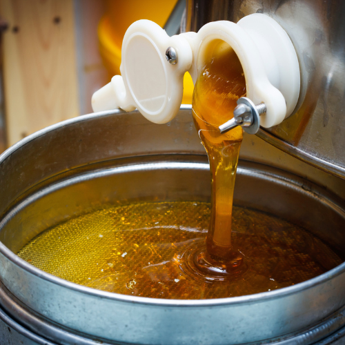 Honey Extraction